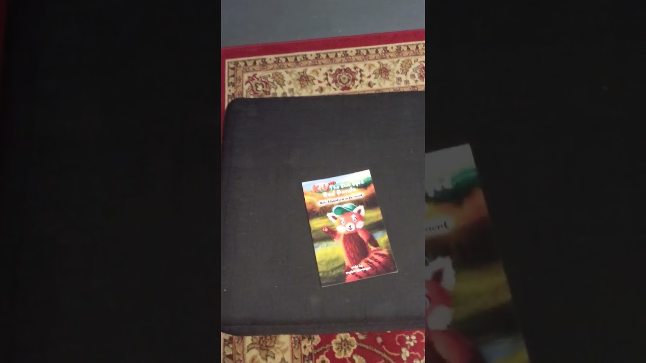 One Year ago my first book dropped on Amazon 