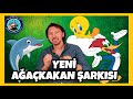 YENİ AĞAÇKAKAN YUNUS KANARYA ŞARKISI | Okul Öncesinde Ritim Şarkıları | Hakan Abi ve Gitarı Boncuk