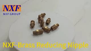 NXF C2800/GB H62/ASTM C27400/ISO CuZn40/BS CZ109 Brass Forging Threaded Straight or Reducing Nipple