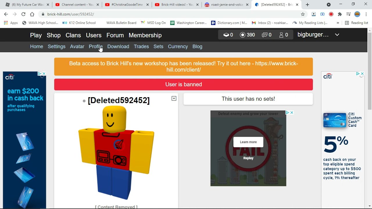 password to a banned roblox account - Brick Hill