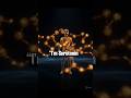 Serotonin | Happiness Hormone