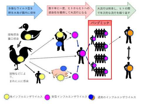 講演１　2009年の新型インフルエンザ(A/H1N1)対策を振り返る　～想定外を減らし、想定外に動じないために～　（沖縄県立中部病院感染症内科・地域ケア科医長　高山義浩氏）