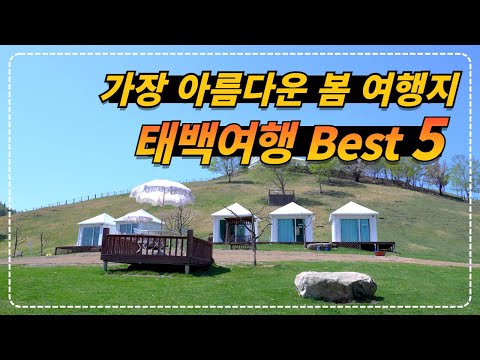 강원 태백_대한민국에서 봄을 가장 늦게까지 기억하는 아름다운 봄 여행지 태백 best5!! 태백천상의산나물축제