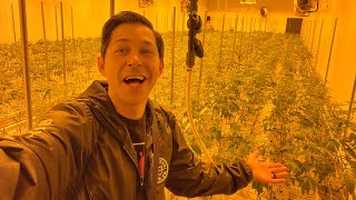 I Went To A Weed Facility In Arizona
