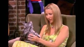 Friends - Characters - Phoebe Buffay