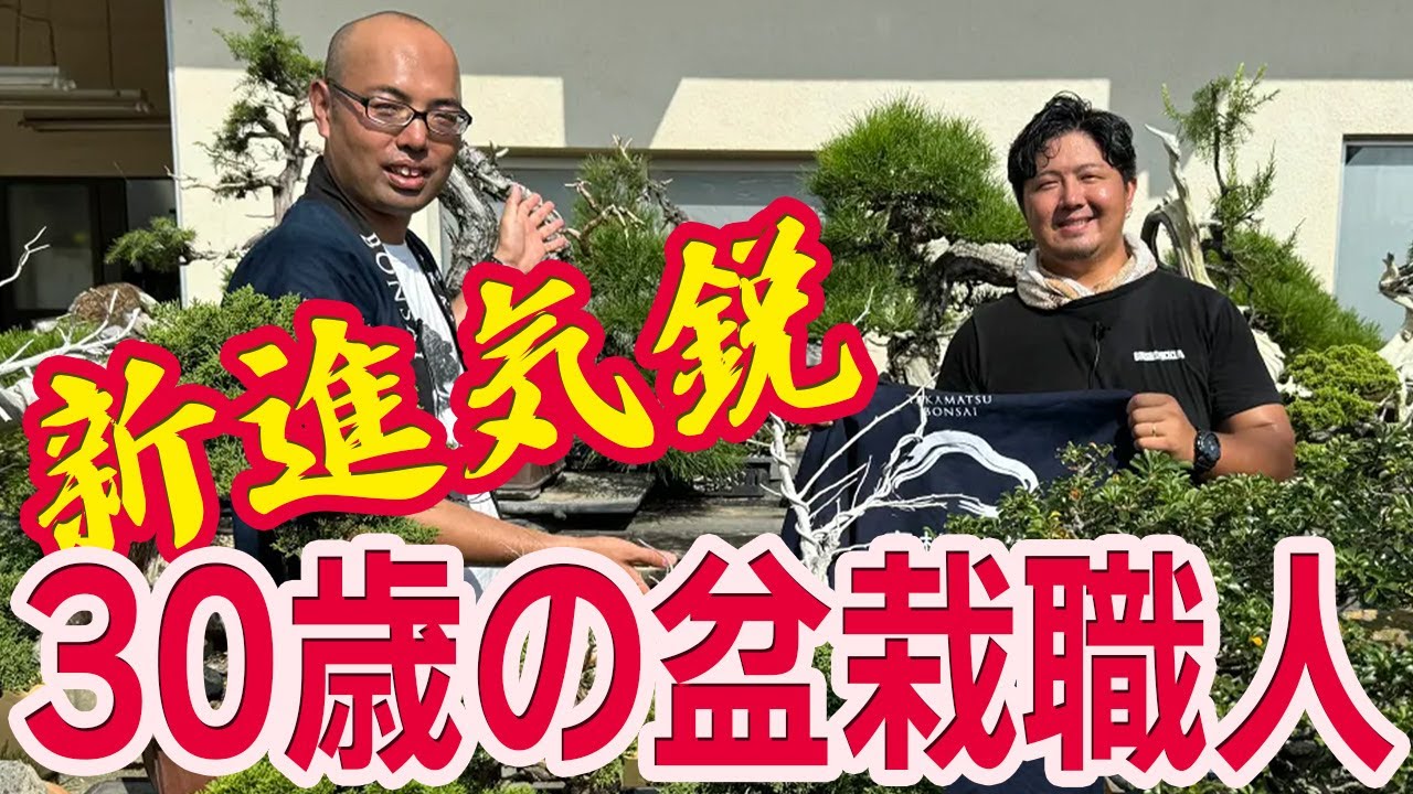 将来性のある松と真柏をたくさん発見！高松の若手盆栽職人を訪ねて【山地山松園】