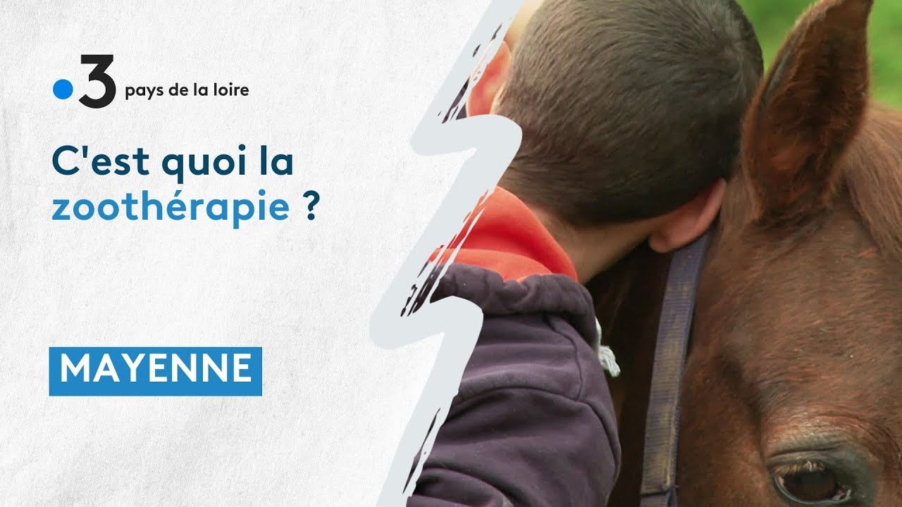 Mayenne : c'est quoi la Zoothérapie ?