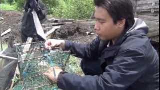 Download lagu Indonesian Traditional Crab Trap Design