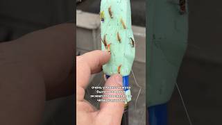 Мушки на хариуса спустя несколько лет 🔥 #мушки #хариус #удочка