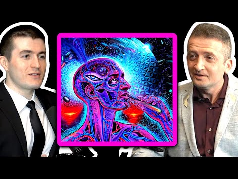 Are the DMT elves real? | Michael Malice and Yaron Brook and Lex Fridman