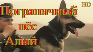 Пограничный Пёс Алый. Hd 720.