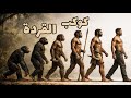 قصة التطور البشري من القرود العليا الى الانسان