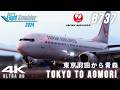 【MSFS2024】東京羽田から青森へ✈︎超ディープなマジックアワー！フルフライト- PMDG737 - RTX5070ti 4K【Microsoft Flight Simulator 2024 】