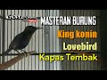 Masteran Suara Kolibri Lovebird Dan Siulan Kapas Tembak Omkicau(.mp3 .mp4) Mp3 - Mp4 Download