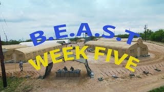 Air Force BMT Week 5