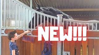 Download Lagu Iets nieuws! | Kniptijd! Met hulp! | Aan en uit... | Friese paarden MP3