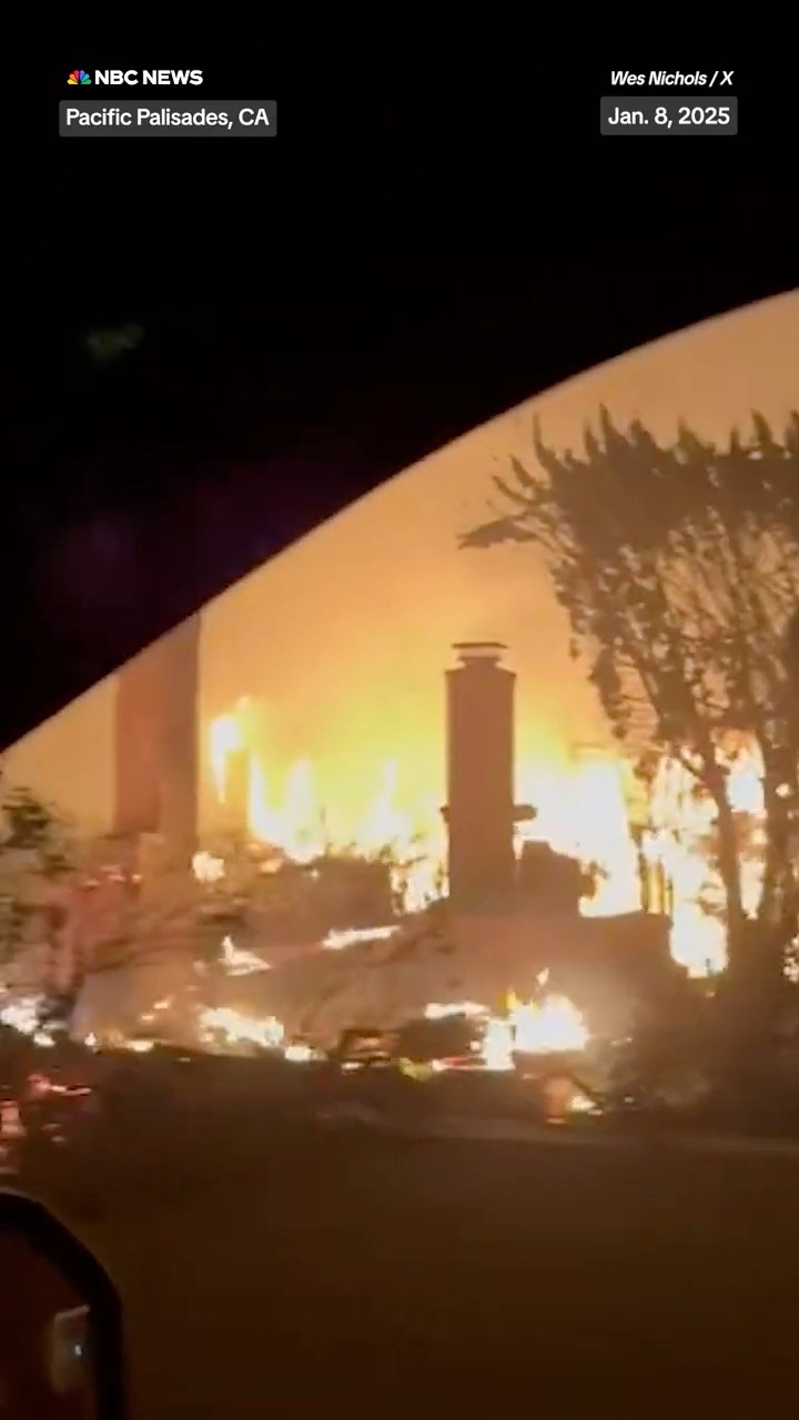 Video shows damage from Palisades Fire