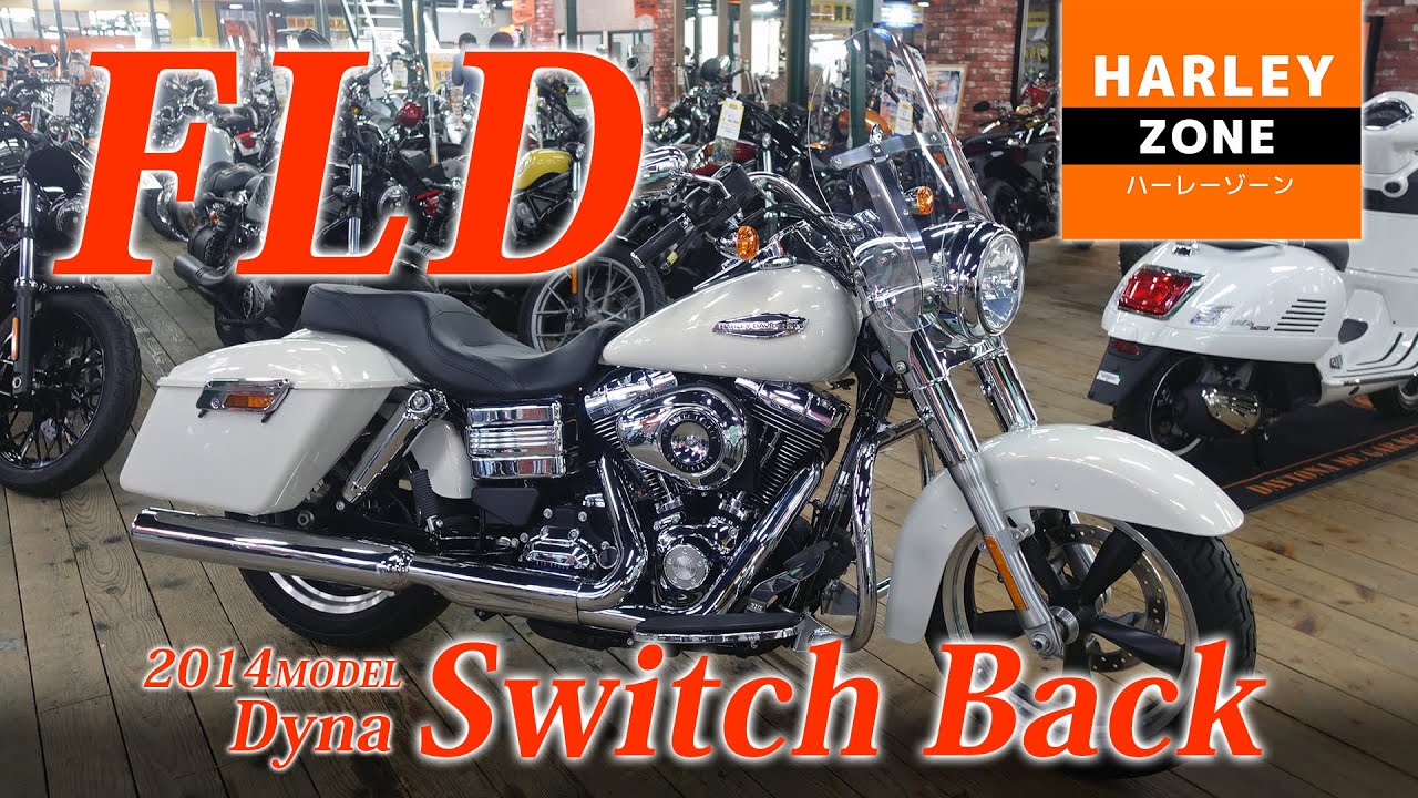 2014 Dyna FLD Switchback] Introducing a rare used car with many