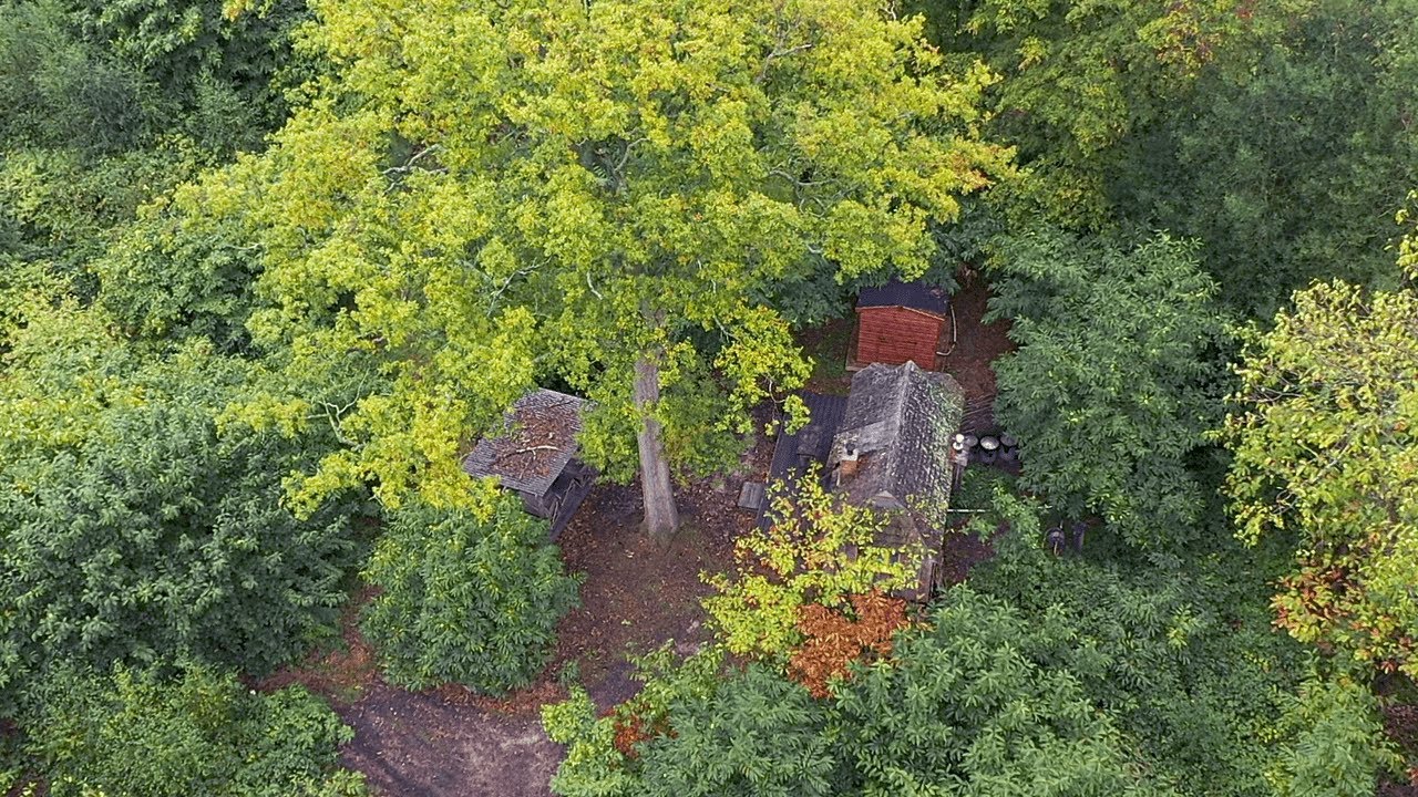 Swallowtail Hill Farm - Rye, East Sussex - England, United Kingdom | Drone aerial view