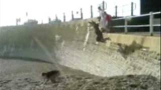 3run parkour hastings 2009
