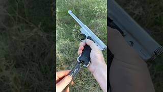 Stainless Steel .22 Ruger