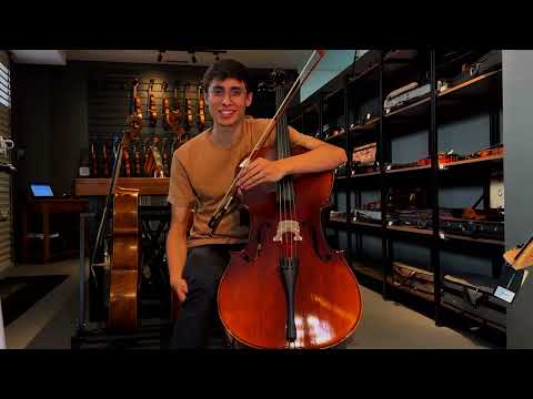 Violoncelo Profissional 4/4 Feito à mão