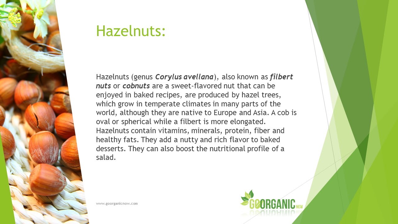 Health Benefits of Hazelnuts YouTube