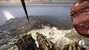 Sons of the Forest Unlimited Zipline 2