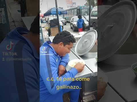comiendo gallinazo
