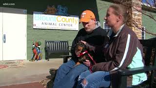 Dog from animal abuse case goes home to original owners Net Worth