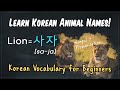 Learn Animal Names in Korean | Korean Vocabulary for Beginners #KoreanVocabulary #KoreanAnimals