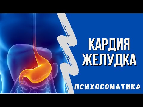 Что такое кардия желудка. Психосоматические конфликты кардии желудка.