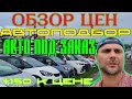 Эксперт на день. +150 к цене за 1 час.. Автоподбор  на авторынке. Обзор цен. АВТО под ЗАКАЗ