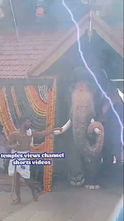 thirunakkara mahadevatemple festivalscene2022 /#shorts /#subscribe /#templesviewschannelshortsvideos