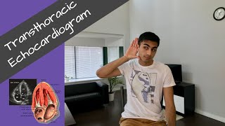 Intro to Transthoracic Echocardiogram
