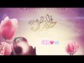 هاي فرحتنا، مرتضى البيضاني