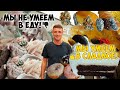 Обзор ресторана SweetDelight Сладкоежкам то что надо!