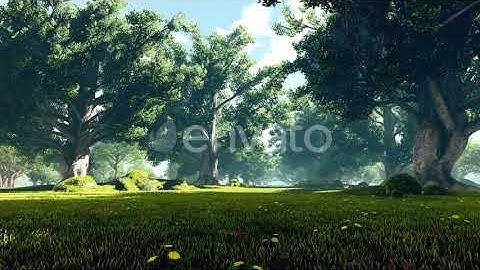 Movement Through The Landscape With Large Trees | Motion Graphics - Videohive template