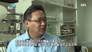 [꾸러기 탐구생활] 2013-08-28 #18(2)