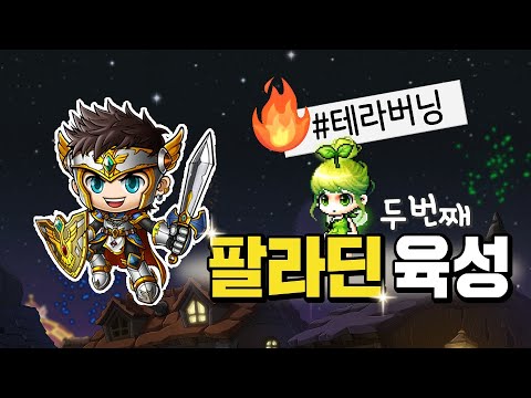 <strong>테라버닝</strong> 팔라딘 육성 두번째 (200~220레벨 사냥, 팔라딘 상향, 카루타 도전(?), 메이플스토리)