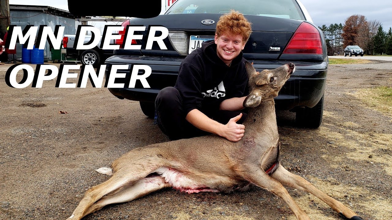 2022 MN Deer Opener Hunting Whitetail Bucks YouTube