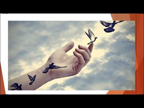 Video Nhìn về Khuôn mặt của Thiên Chúa Cha | Đức cha Phêrô... - youtube