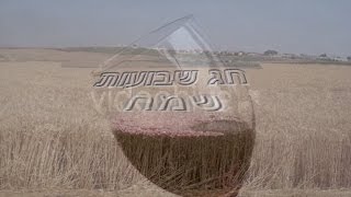 Video voorbeeld van "מלאו אסמינו בר  הגבעטרון"