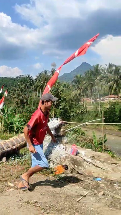 ngadu karbit kuluwung