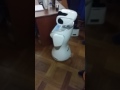 Robot Sanbot 