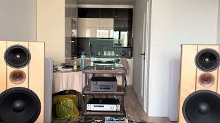 OB test Turntable Michell Syncro