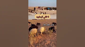 قصة وقصيدة حطتني ع السعن حارس 