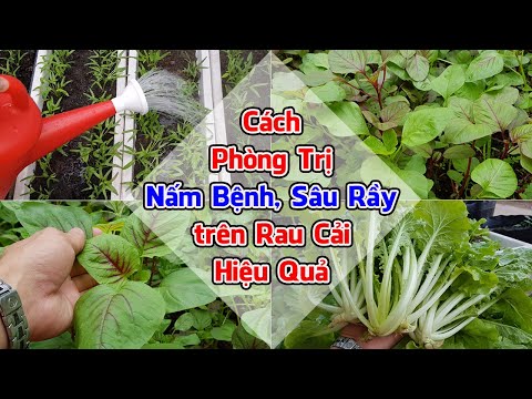 Video: Cây Và Nước Sôi - Cách Sử Dụng Nước Sôi Trong Vườn