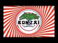Nothing as Bonzai Records again (Part 2)