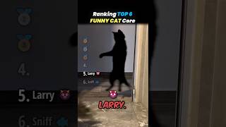 Ranking TOP 6 FUNNY CAT Core Moments!! π±π